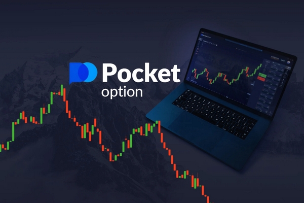 Pocket Option Verification Полный обзор процесса верификации аккаунта